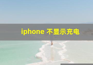 iphone 不显示充电